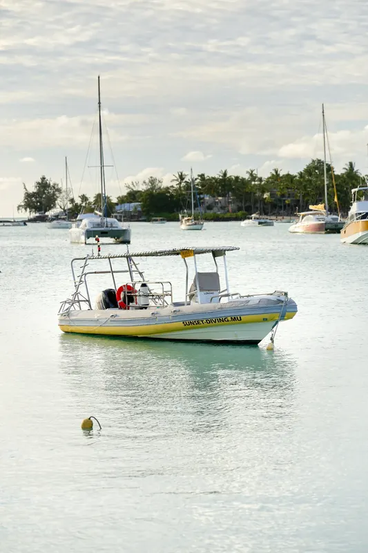 Bateau de plongée jaune et bleu amarré dans une baie ensoleillée