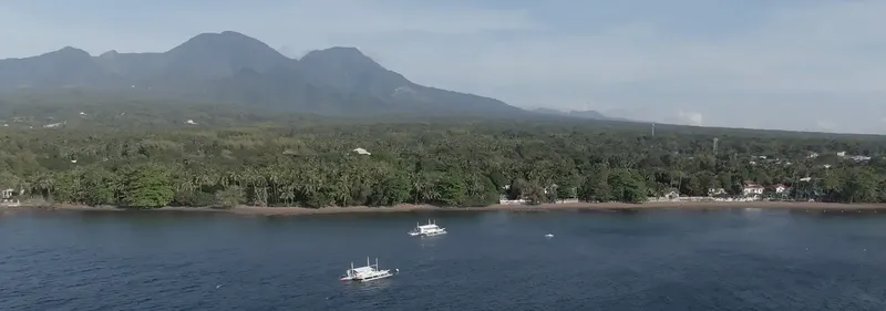 Vue aérienne d'une côte avec des bateaux et une végétation dense