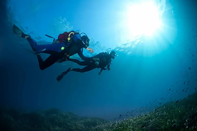 Deux plongeurs explorent un récifal ensoleillé dans l'eau bleue