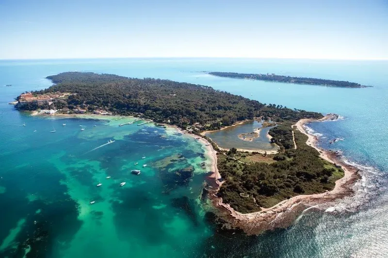 Vue aérienne d'une île avec des plages, des pins et des bateaux