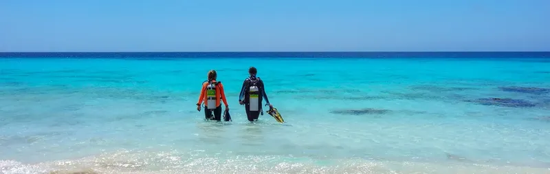 Deux plongeurs sortent de l'eau turquoise sur une plage ensoleillée