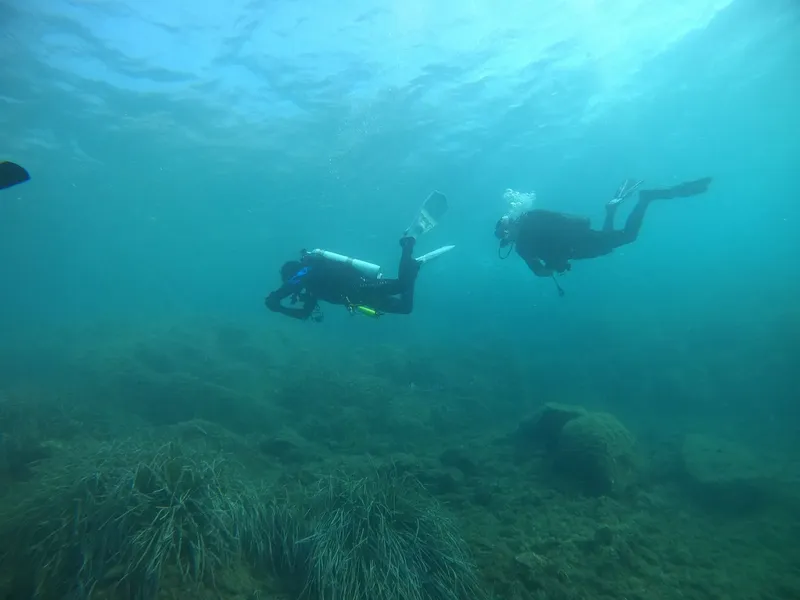 Deux plongeurs explorent les fonds marins, nageant dans l'eau turquoise