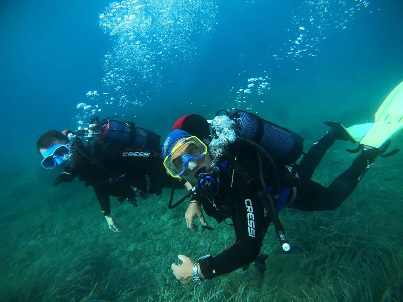 Trois plongeurs en combinaison explorent les fonds marins avec leurs équipements