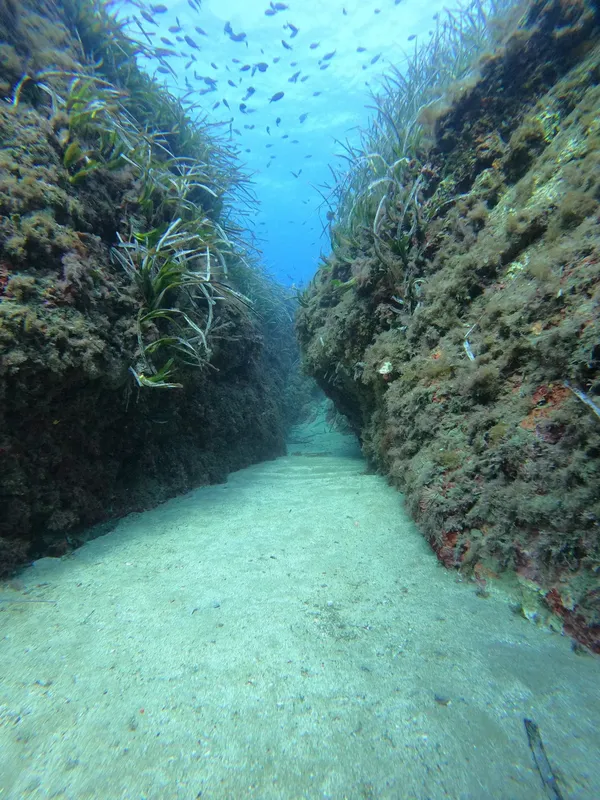 Fissure rocheuse sous-marine avec fond sablonneux et végétation marine