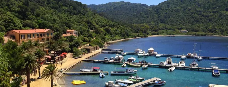 Vue d'ensemble d'un centre de plongée avec bateaux et bâtiments