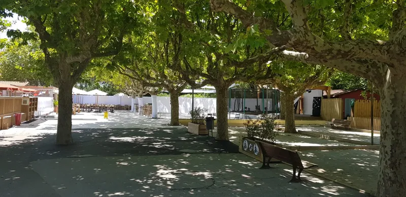 Cour ombragée d'un centre avec des arbres, des tables et des bâtiments
