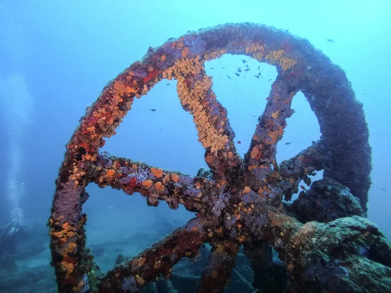 Epave rouillée colonisée par des organismes marins en bleu profond