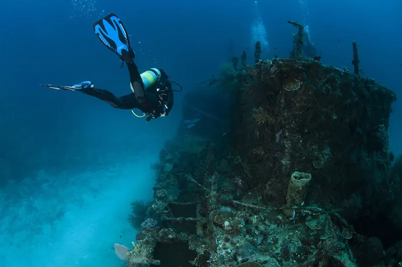 Plongeur explorant une épave recouverte de coraux en milieu aquatique