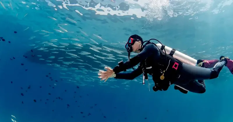 Plongeur en combinaison noire nageant au milieu d'un banc de poissons