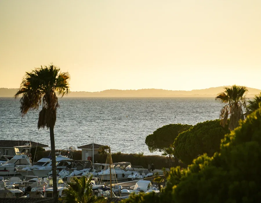 Vue d'un port de plaisance avec des bateaux et palmiers ensoleillés