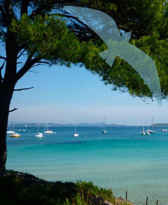 Vue sur la mer avec des voiliers et une raie stylisée