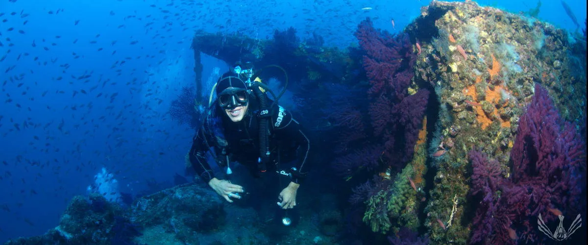 Plongeur souriant explore un récif corallien avec des bancs de poissons