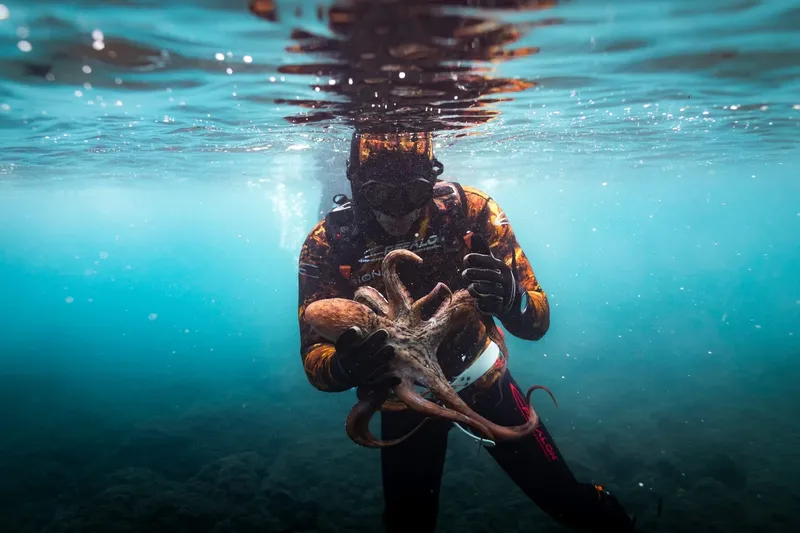 Plongeur interagissant avec une pieuvre dans un environnement sous-marin bleu