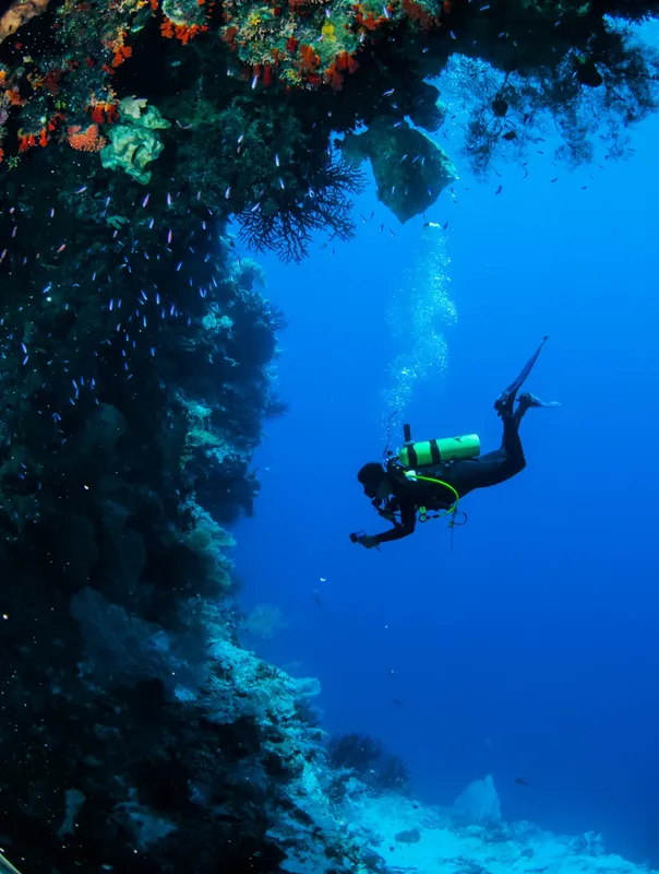 Plongeur explorant un récif corallien bleu et vibrant