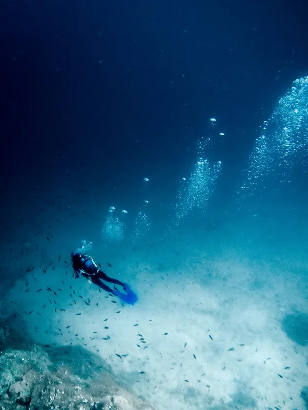 Plongeur en scaphandre nageant au milieu d'un banc de petits poissons