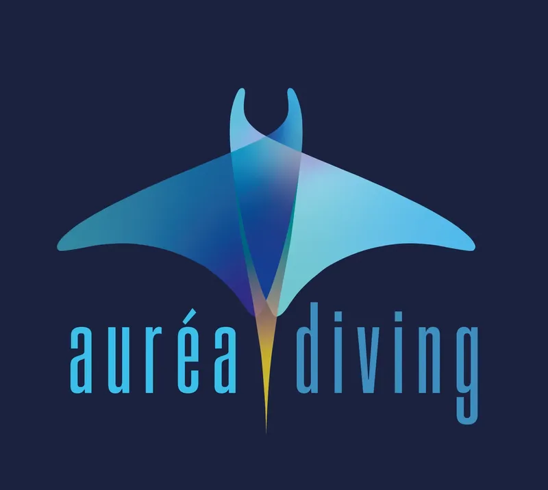 Raie manta bleue stylisée au-dessus du texte auréa diving