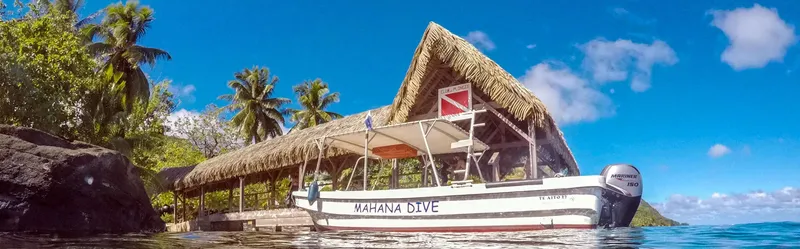 Bateau de plongée abrité sous une structure en chaume au bord de l'eau
