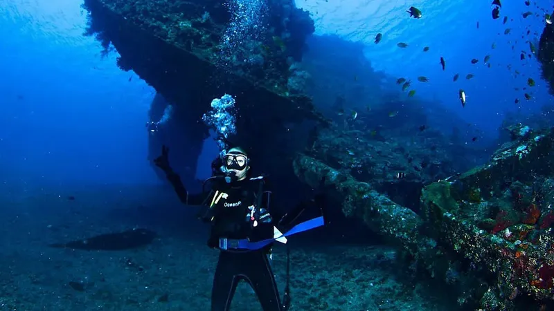 Plongeur explore un épave colonisée par des poissons colorés