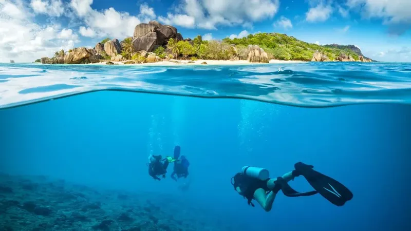 Deux plongeurs explorent un récif corallien sous une île tropicale