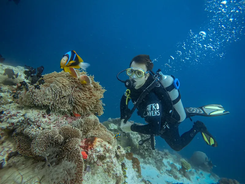 Plongeuse près d'une anémone et de poissons colorés en mer
