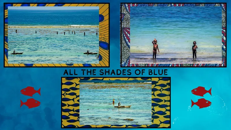 Montage de trois photos : personnes dans l'eau, plage et canoë