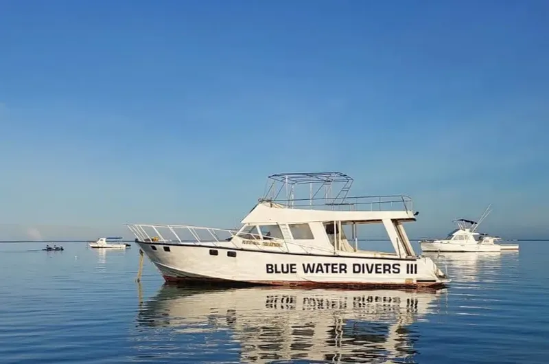 Bateau de plongée blanc sur l'eau calme sous un ciel bleu clair