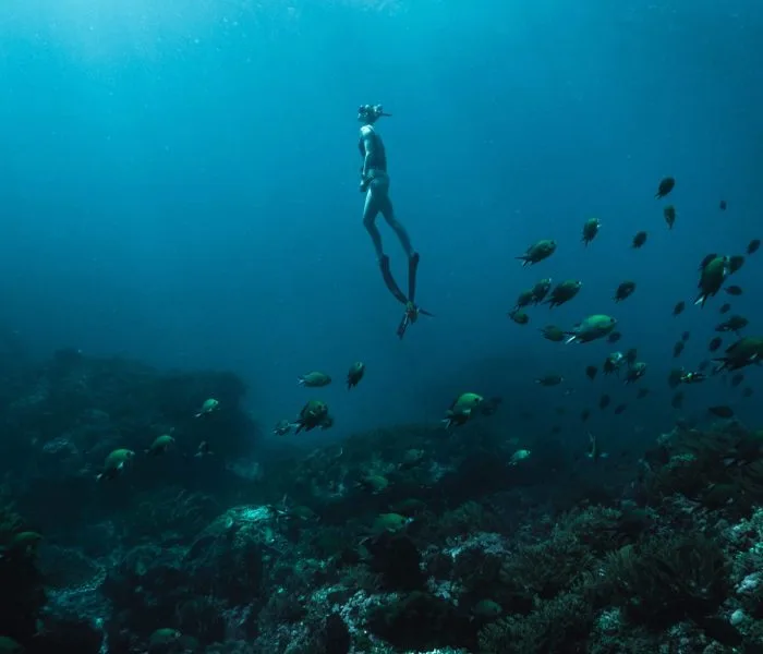 Apnea, une plongeuse en immersion au milieu d'un banc de poissons