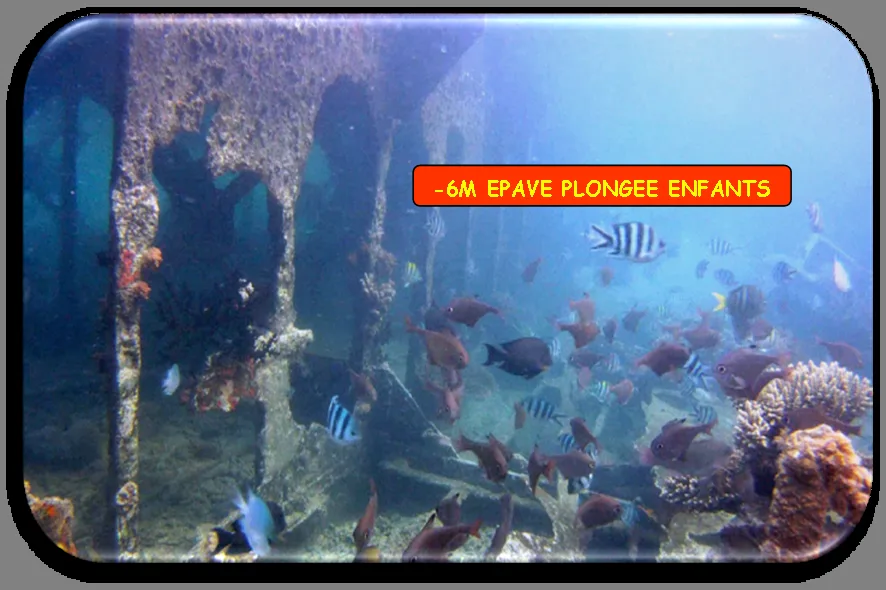Epave sous-marine colonisée par la vie marine et des poissons colorés