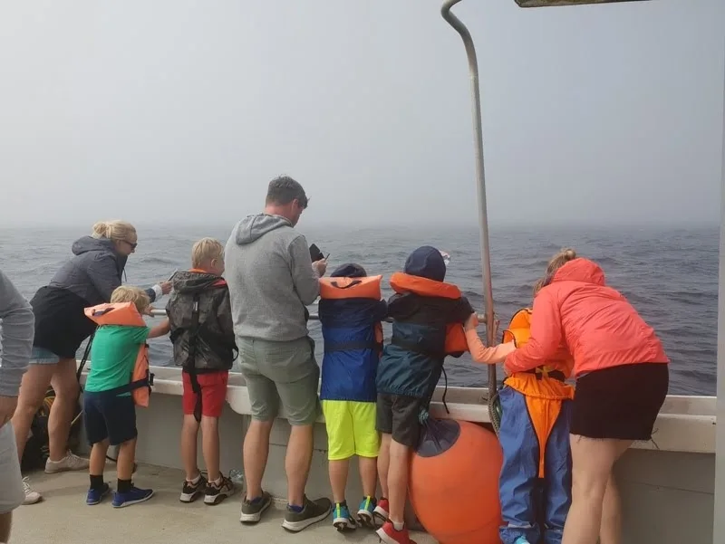 Groupe de personnes observant la mer depuis le pont d'un bateau
