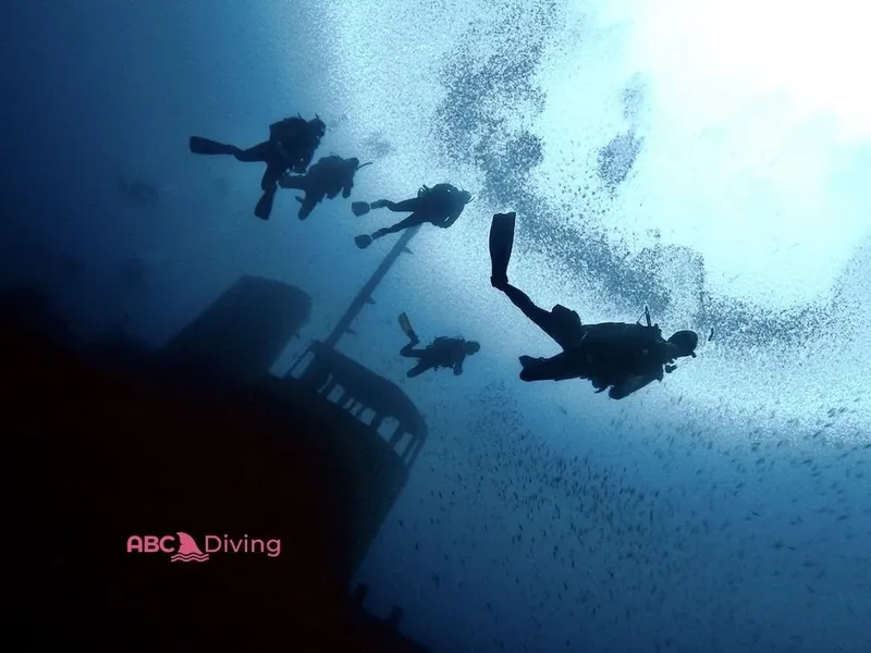 Plongeurs explorant une épave sous-marine avec un banc de poissons