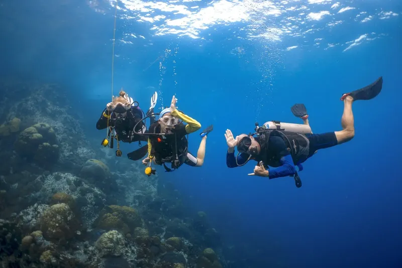 Trois plongeurs communiquent sous l'eau au milieu du récif corallien