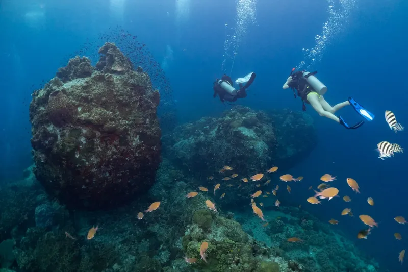 Deux plongeurs explorent un récif corallien avec des poissons colorés