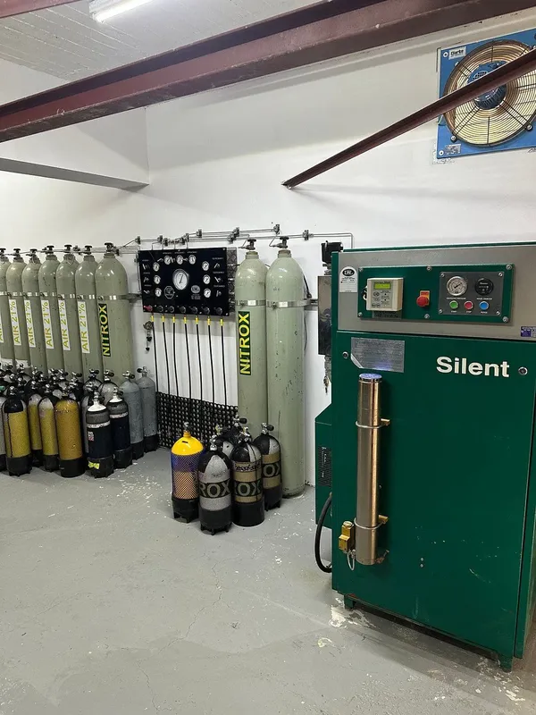 Rangées de bouteilles de plongée air et nitrox, compresseur vert