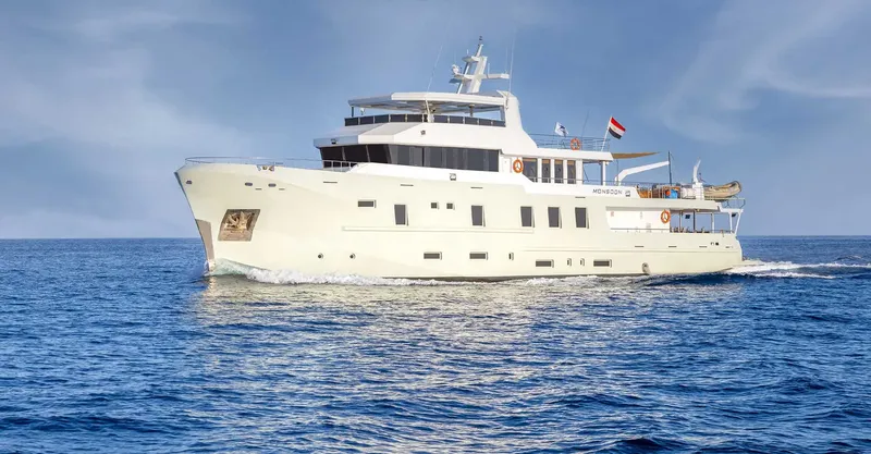 Grand bateau de croisière blanc navigue sur une mer bleue calme