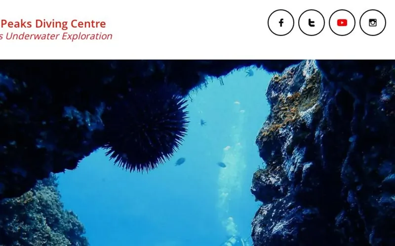 Vue sous-marine d'un oursin noir et de poissons dans l'eau bleue