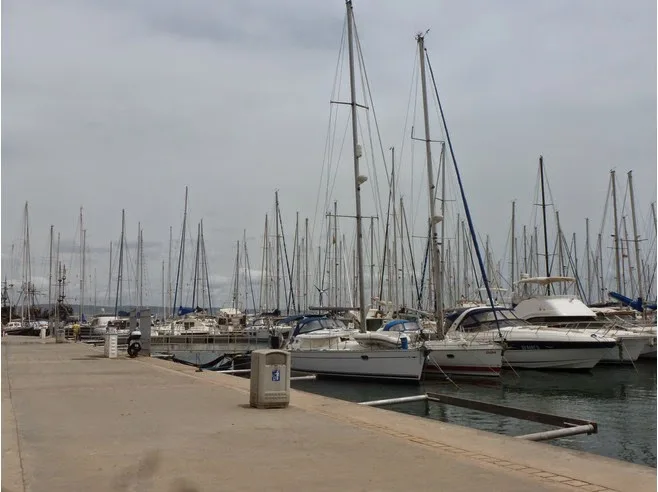 Port de plaisance avec de nombreux voiliers amarrés au quai