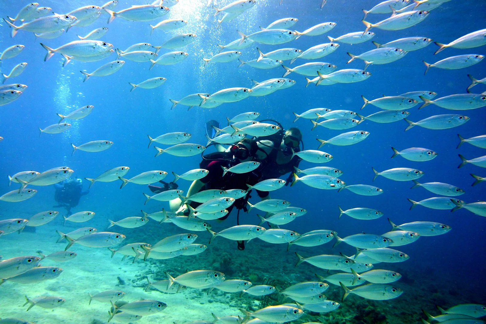 Trunkdivers N.V.
