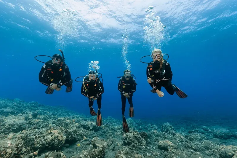 Quatre plongeurs en combinaison explorent un récifal corallien bleu clair