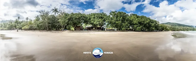 Plage de sable fin avec végétation luxuriante et bâtiments au bord de l'eau