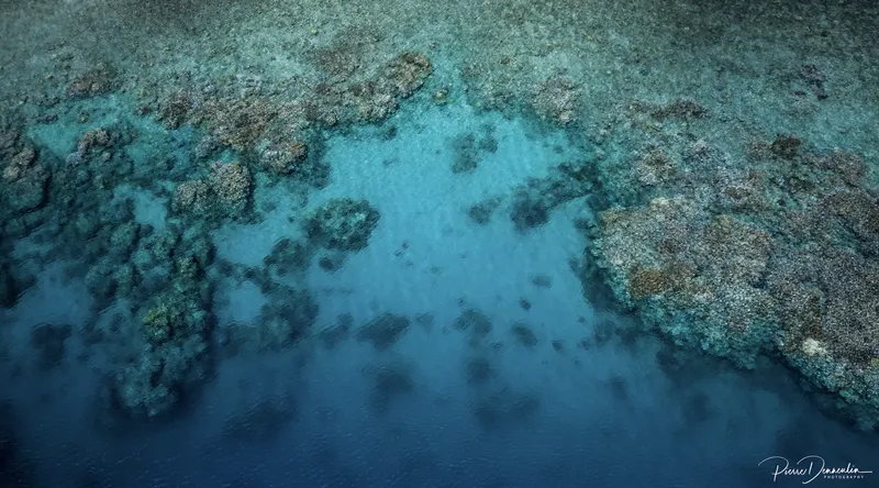 Vue aérienne d'un récif corallien sous-marin avec des zones sableuses