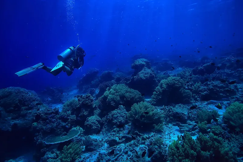 Plongeur explorant un récif corallien bleu et luxuriant sous-marin