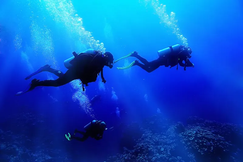 Trois plongeurs explorent un récifal corallien en eau profonde