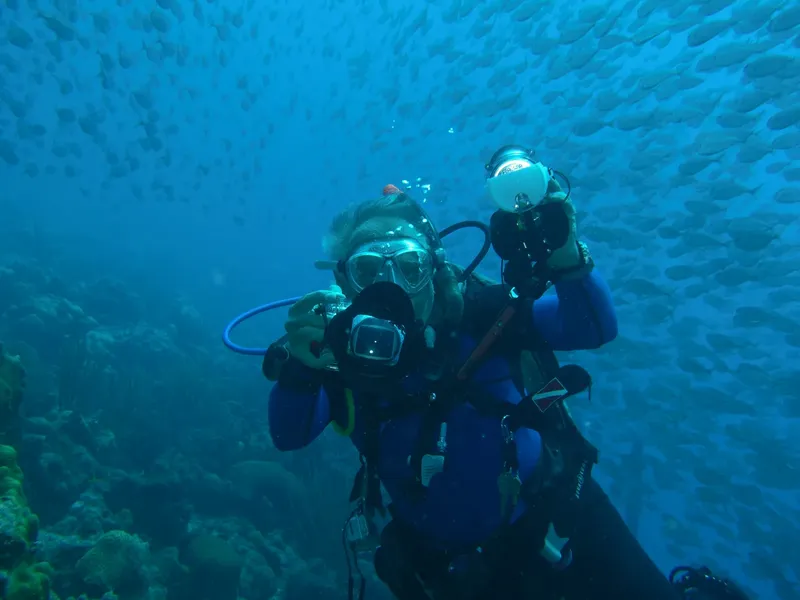 Plongeur avec appareil photo entouré d'un banc de petits poissons bleus