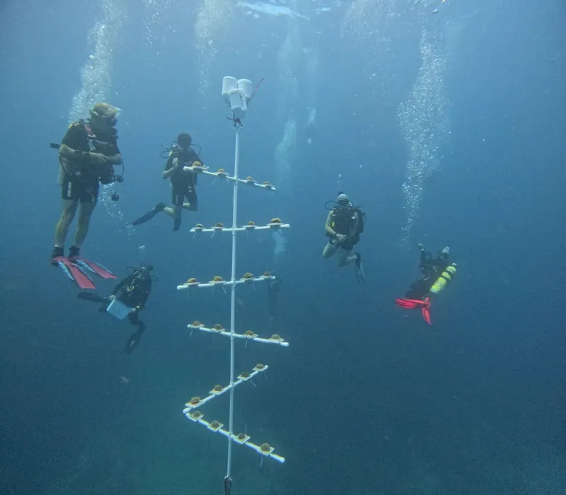 Plongeurs explorant une structure artificielle sous-marine en bleu profond