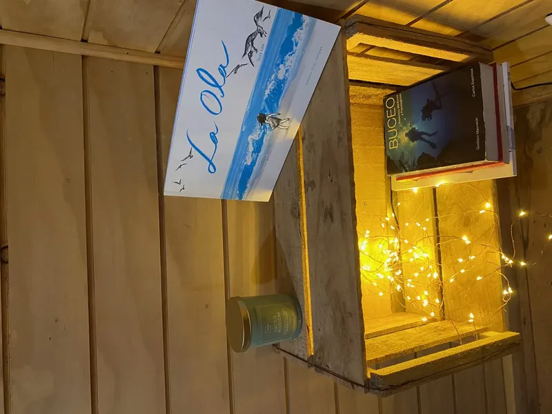 Livres et décoration lumineuse sur une étagère en bois clair
