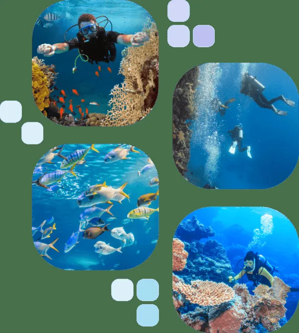 Plongeurs et poissons colorés explorent un récif corallien en mer