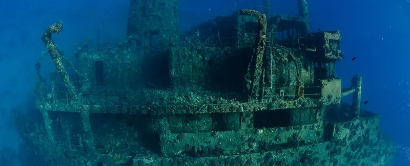 Épave de bateau colonisée par la vie marine en plongée sous-marine