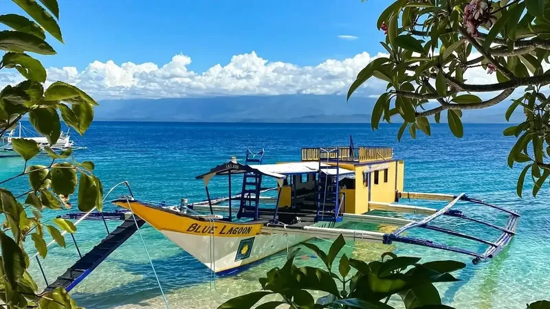 Bateau de plongée jaune amarré dans une eau turquoise et claire