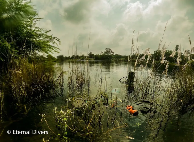Paysage aquatique avec herbes, palmes et masque de plongée au premier plan