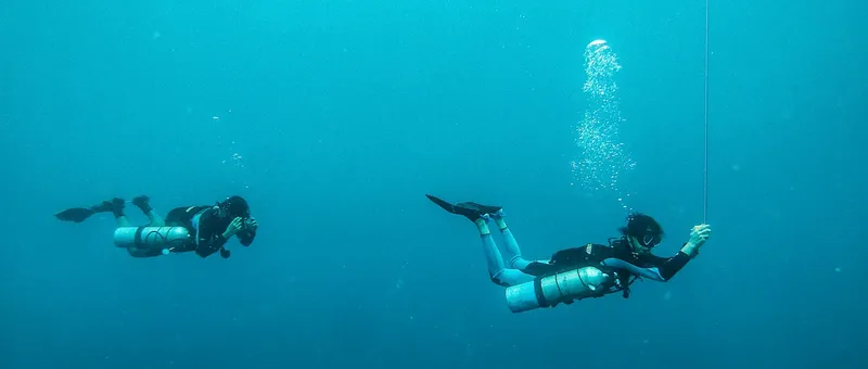 Deux plongeurs en combinaison explorent les profondeurs bleues de l'océan